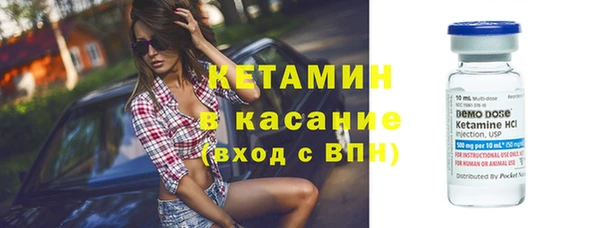 прущие грибы Волоколамск