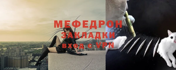 прущие грибы Волоколамск