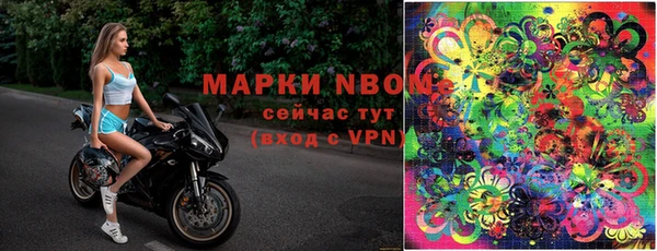 прущие грибы Волоколамск