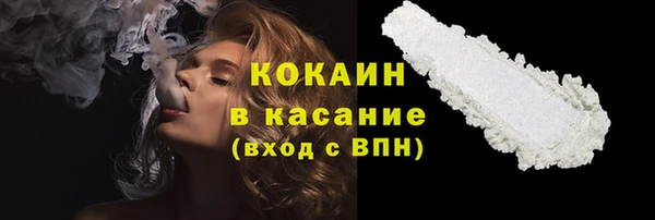 прущие грибы Волоколамск