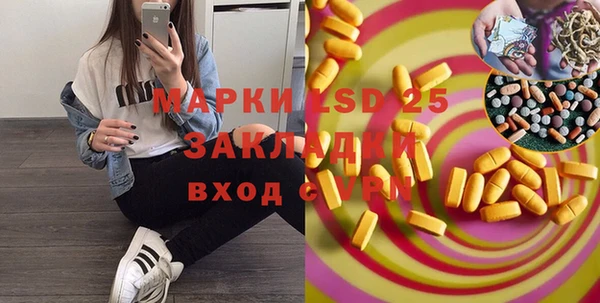 прущие грибы Волоколамск