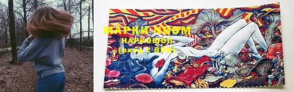 прущие грибы Волоколамск