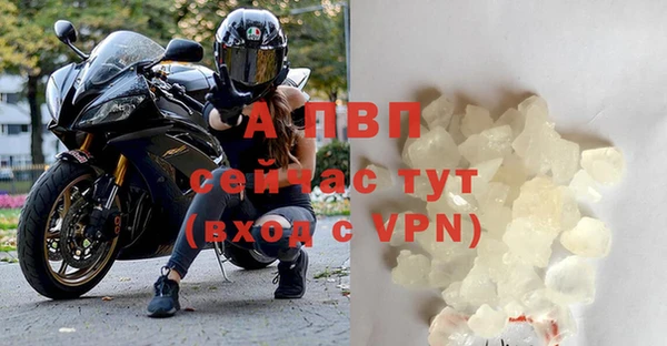 гашик Волосово