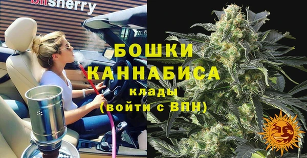 прущие грибы Волоколамск