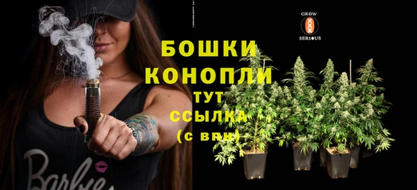 гашик Волосово